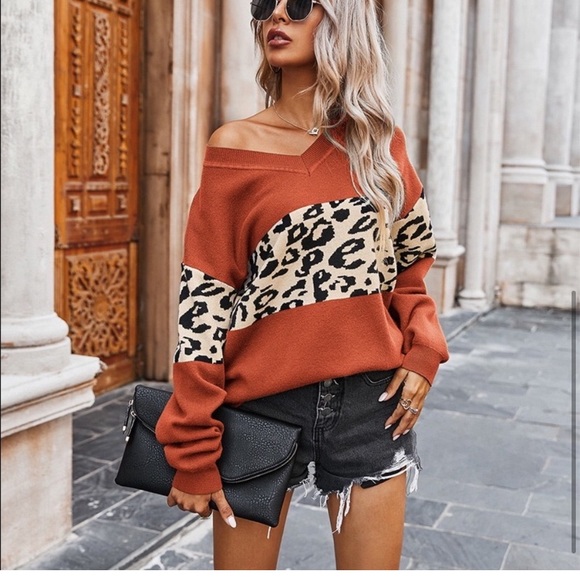 V Neck Leopard Sweater - Picture 2 of 4